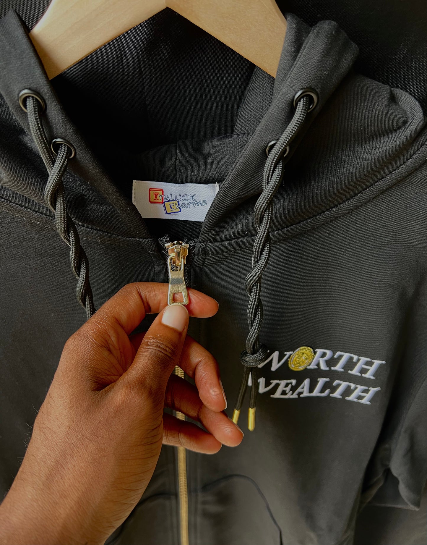 “Financial Freedom” Zip Hoodie